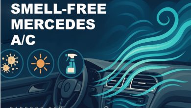 Smell‑Free Mercedes AC: Expert Guide to Mold & Mildew Odor Elimination