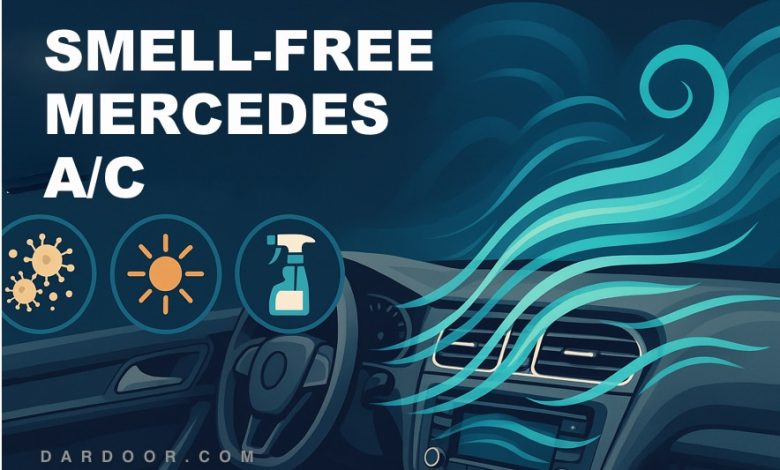 Smell‑Free Mercedes AC: Expert Guide to Mold & Mildew Odor Elimination