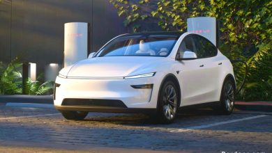 Tesla Model Y Long Range RWD (Juniper) ★★★1/2☆