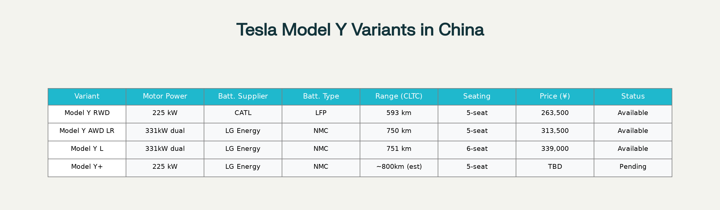 Tesla Model Y Variants in China